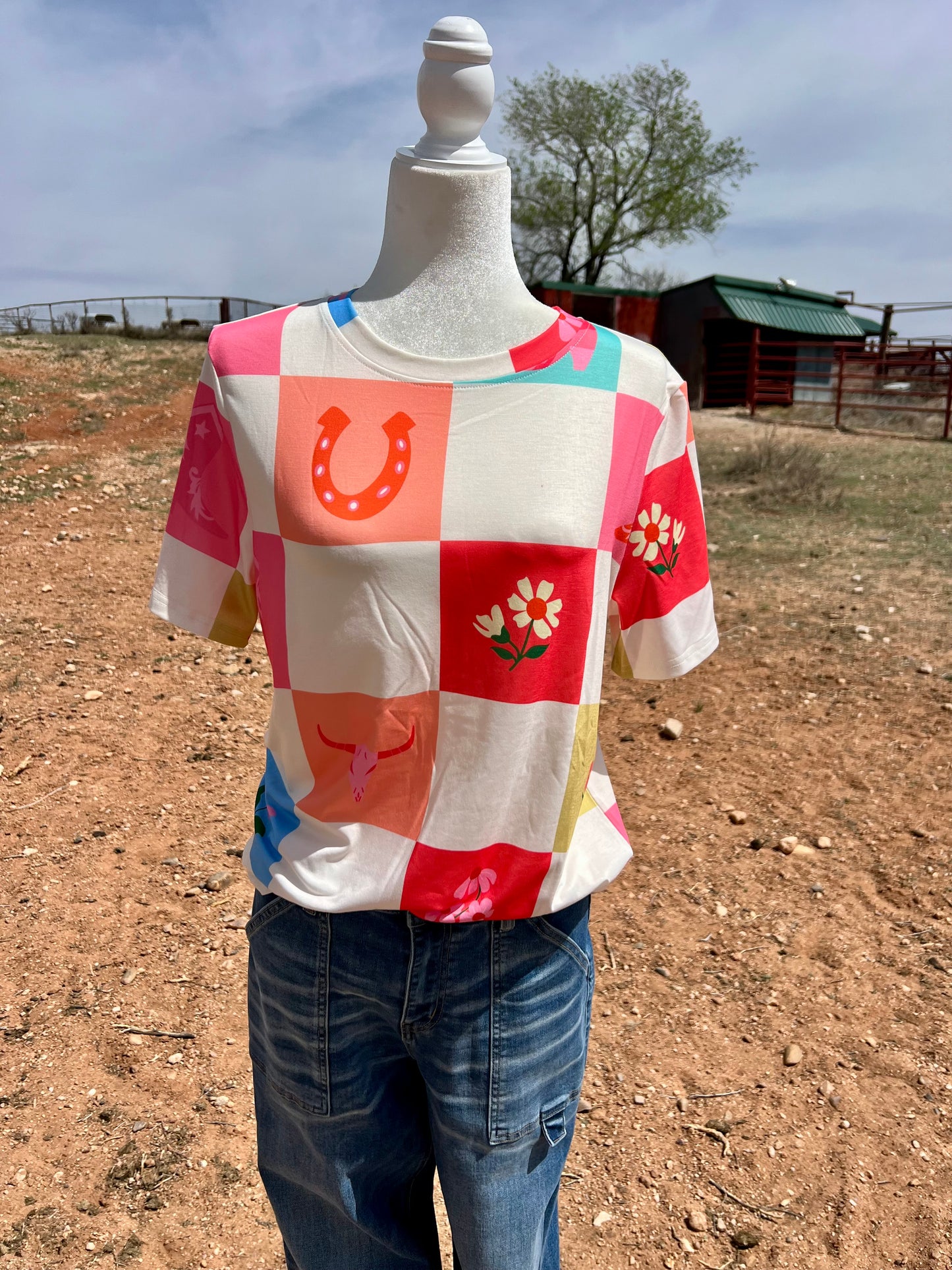 Western Checkered Top