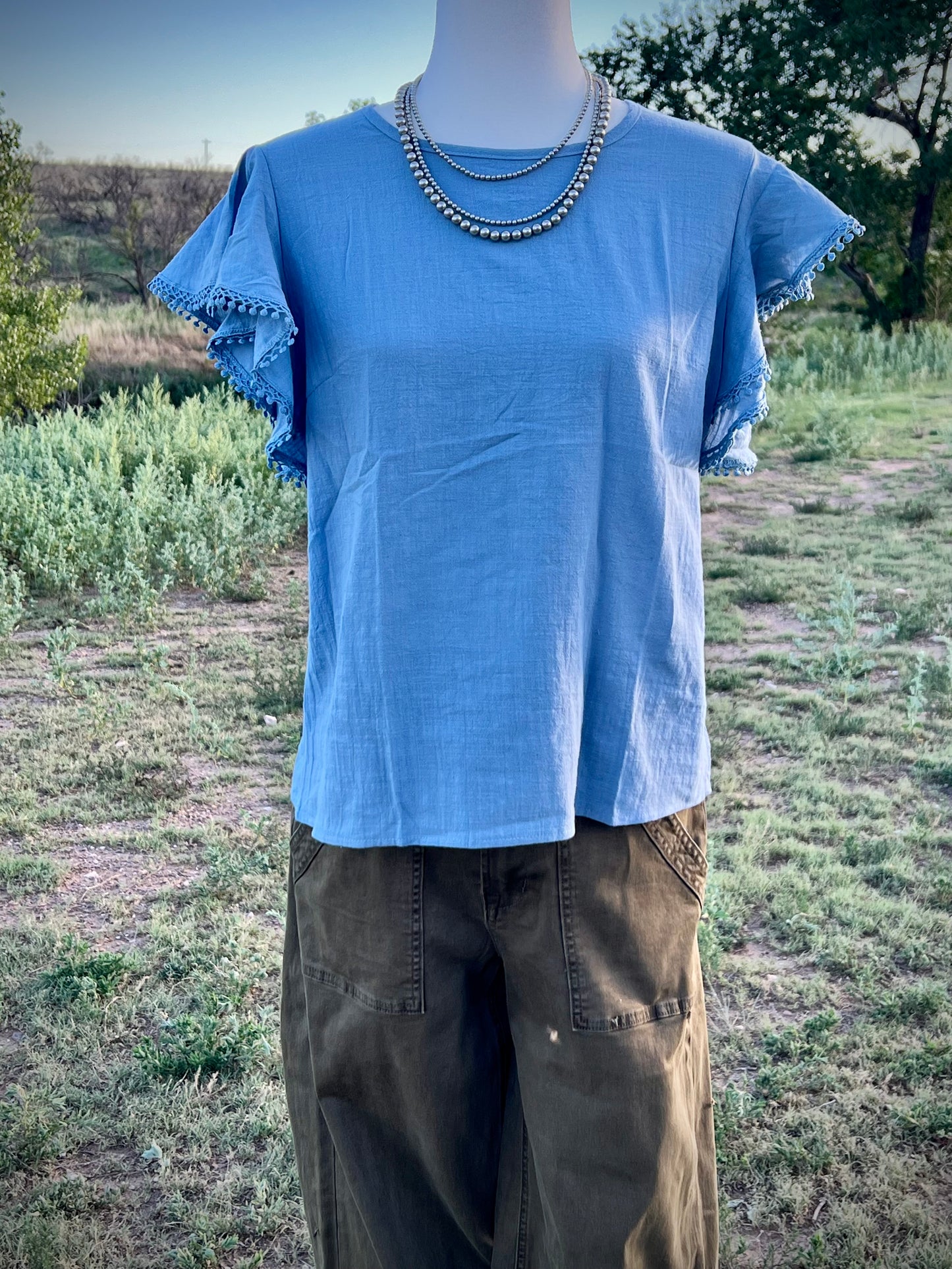Denim Ruffle Sleeve Top