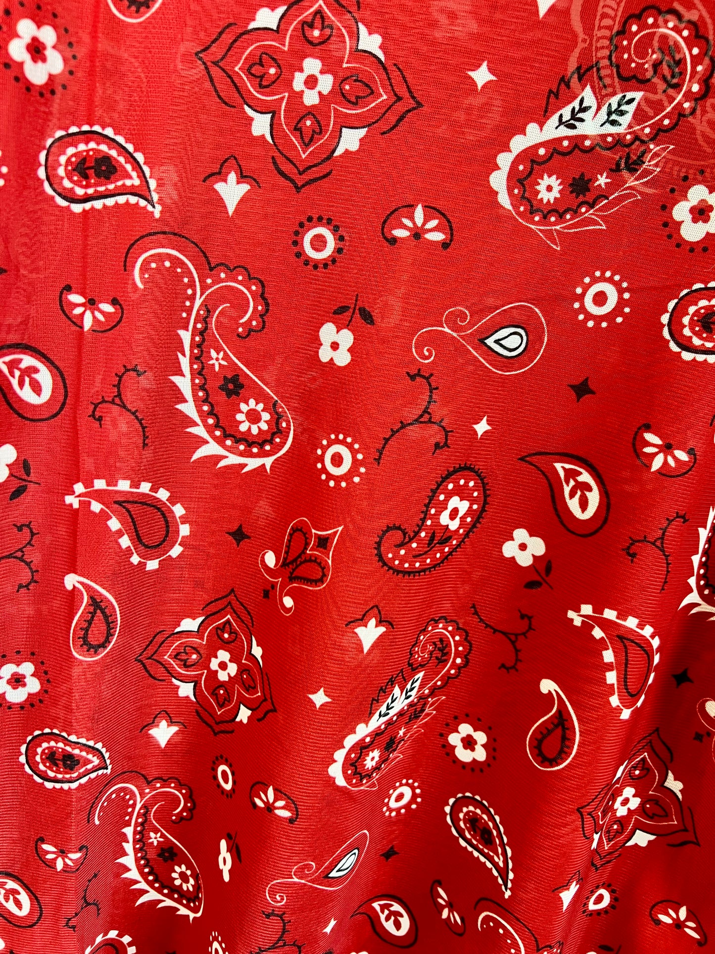 Red Bandana Mesh Top