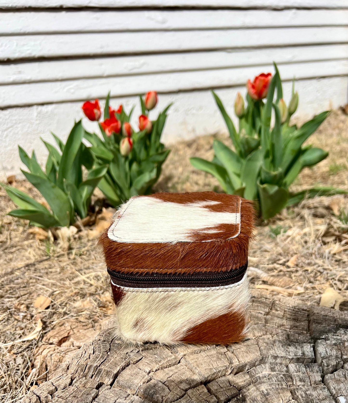 Mini Jewery Box Cases