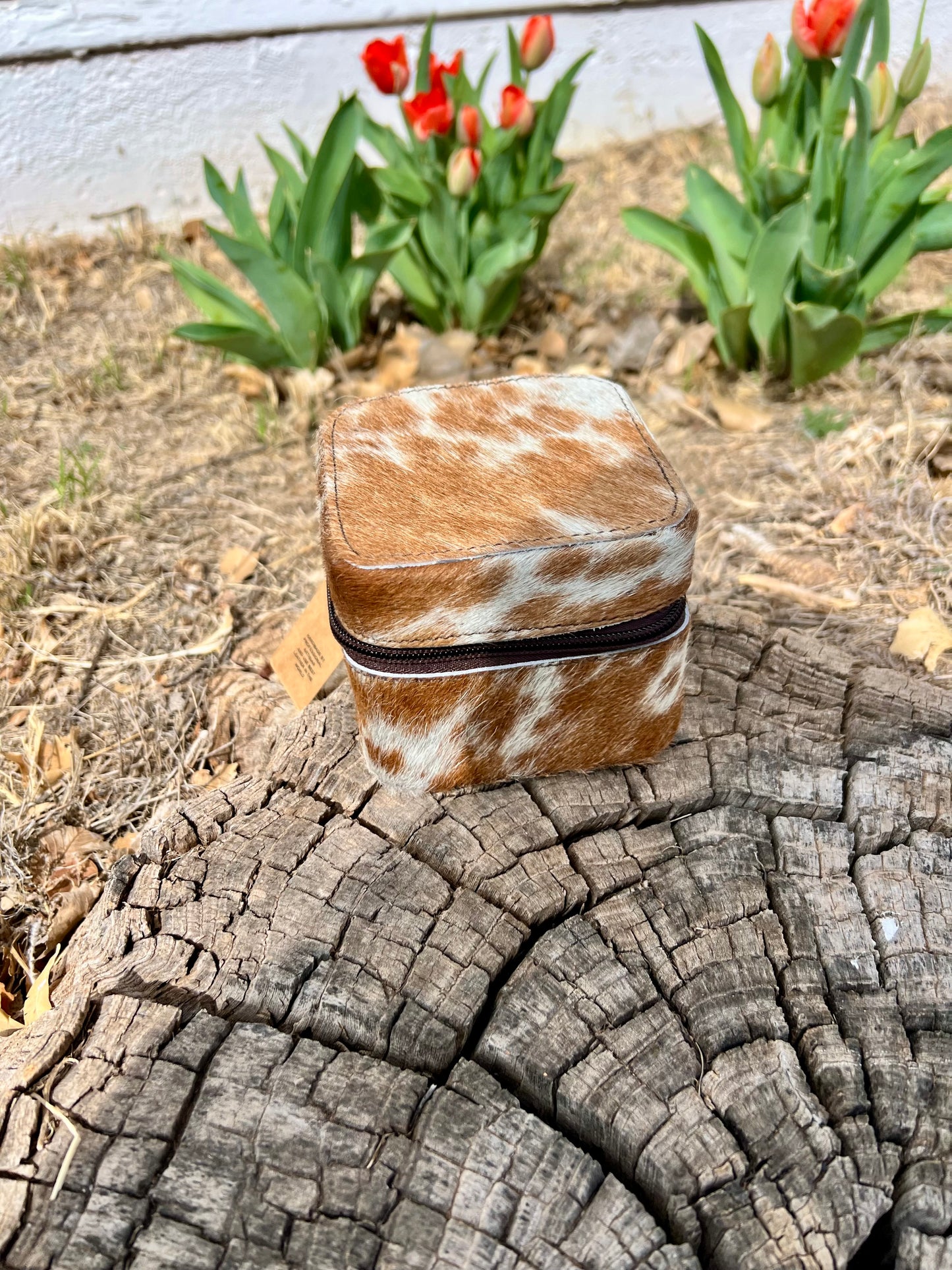 Mini Jewery Box Cases