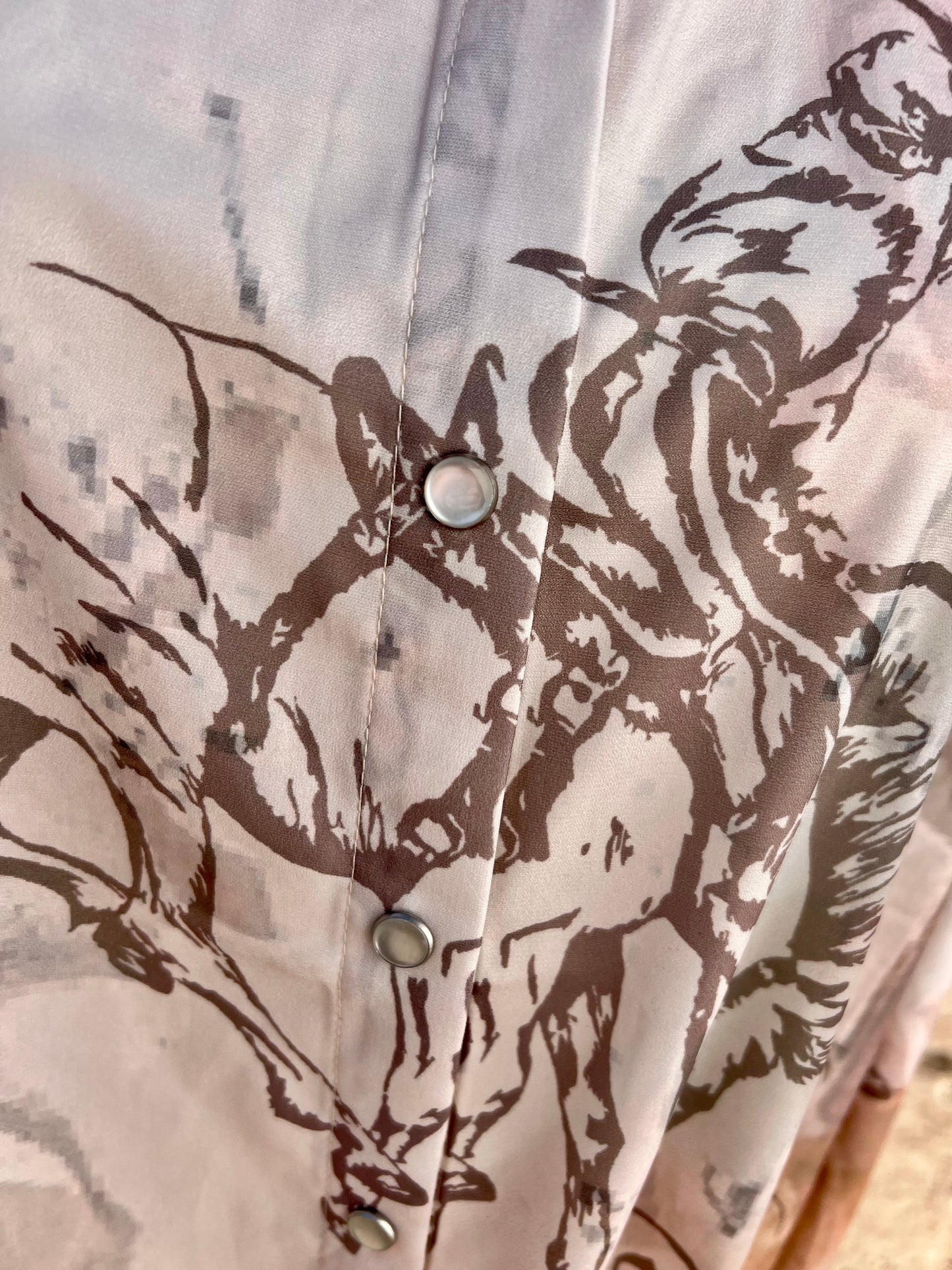 Pearl Snap Button Down Vintage Horse Dress