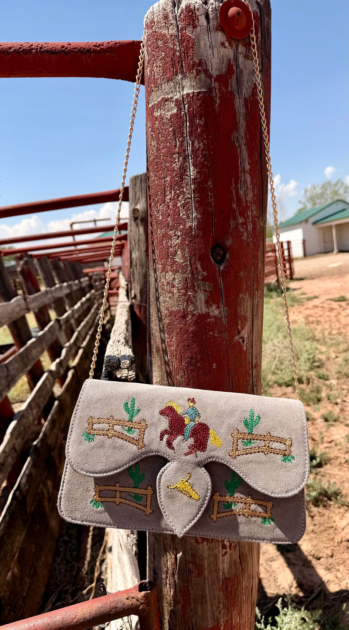 Small Purse with Chain Strap