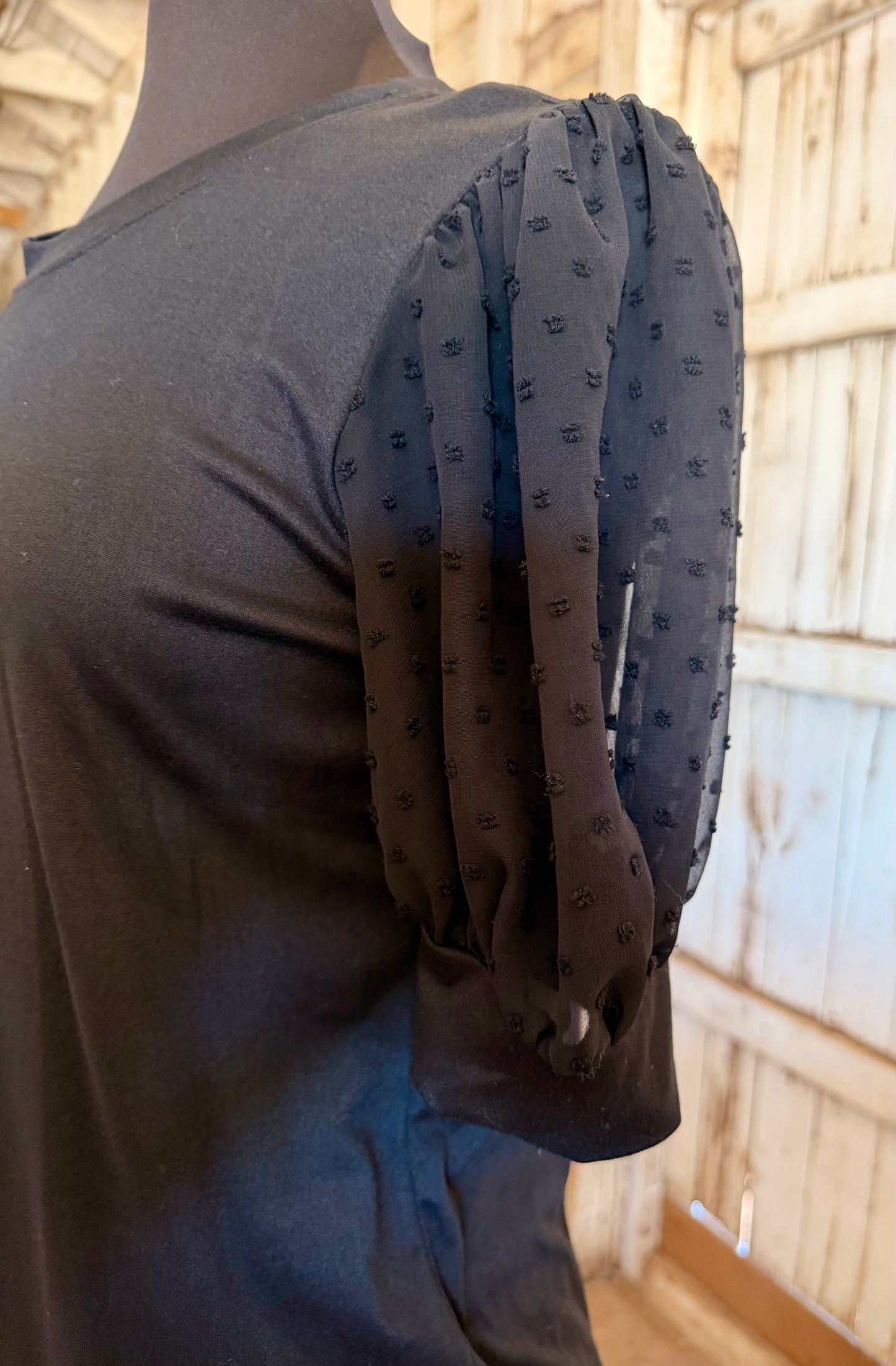 Black Top with Shear Sleeves