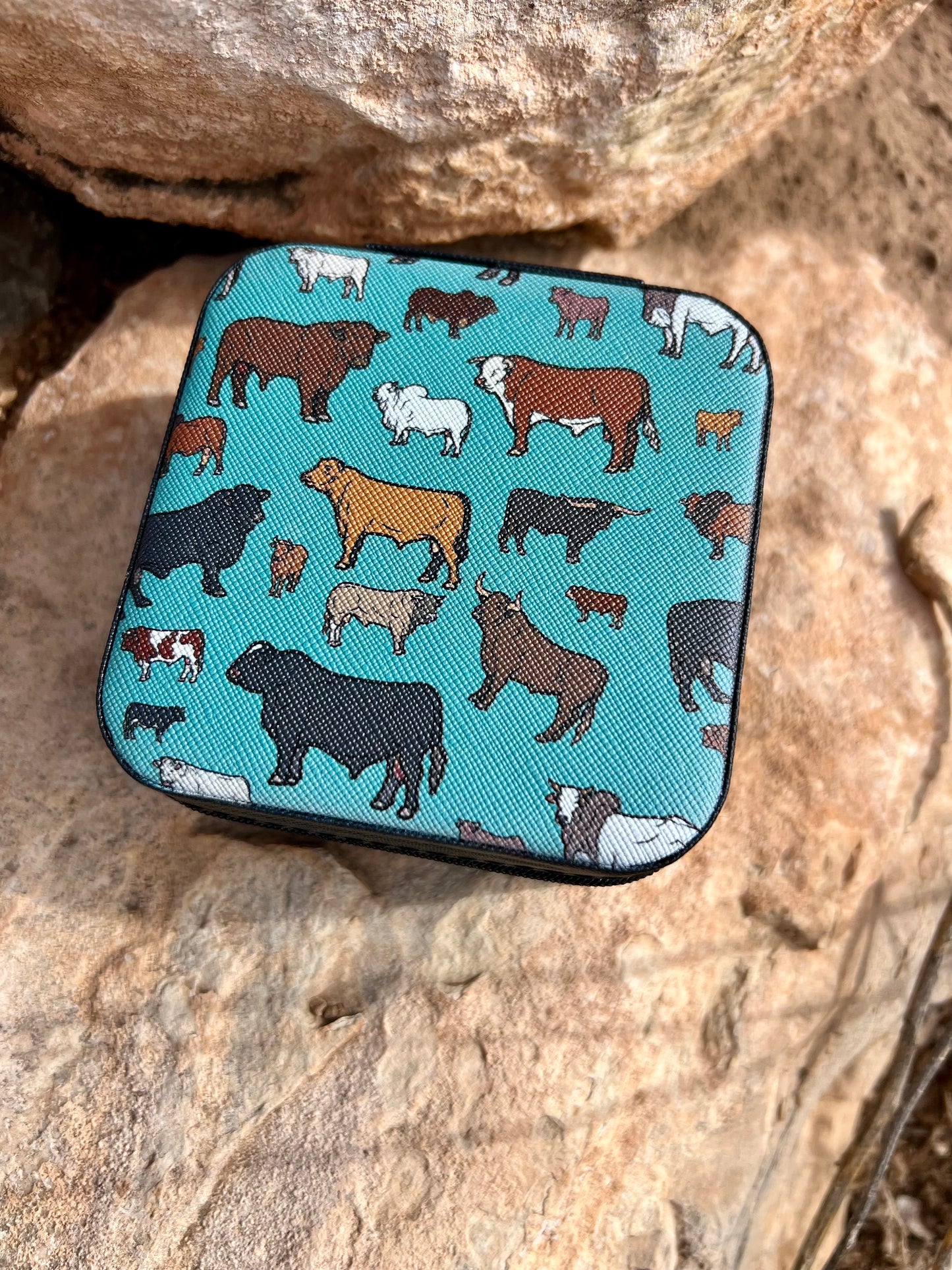 Mini Jewelry Travel Cases