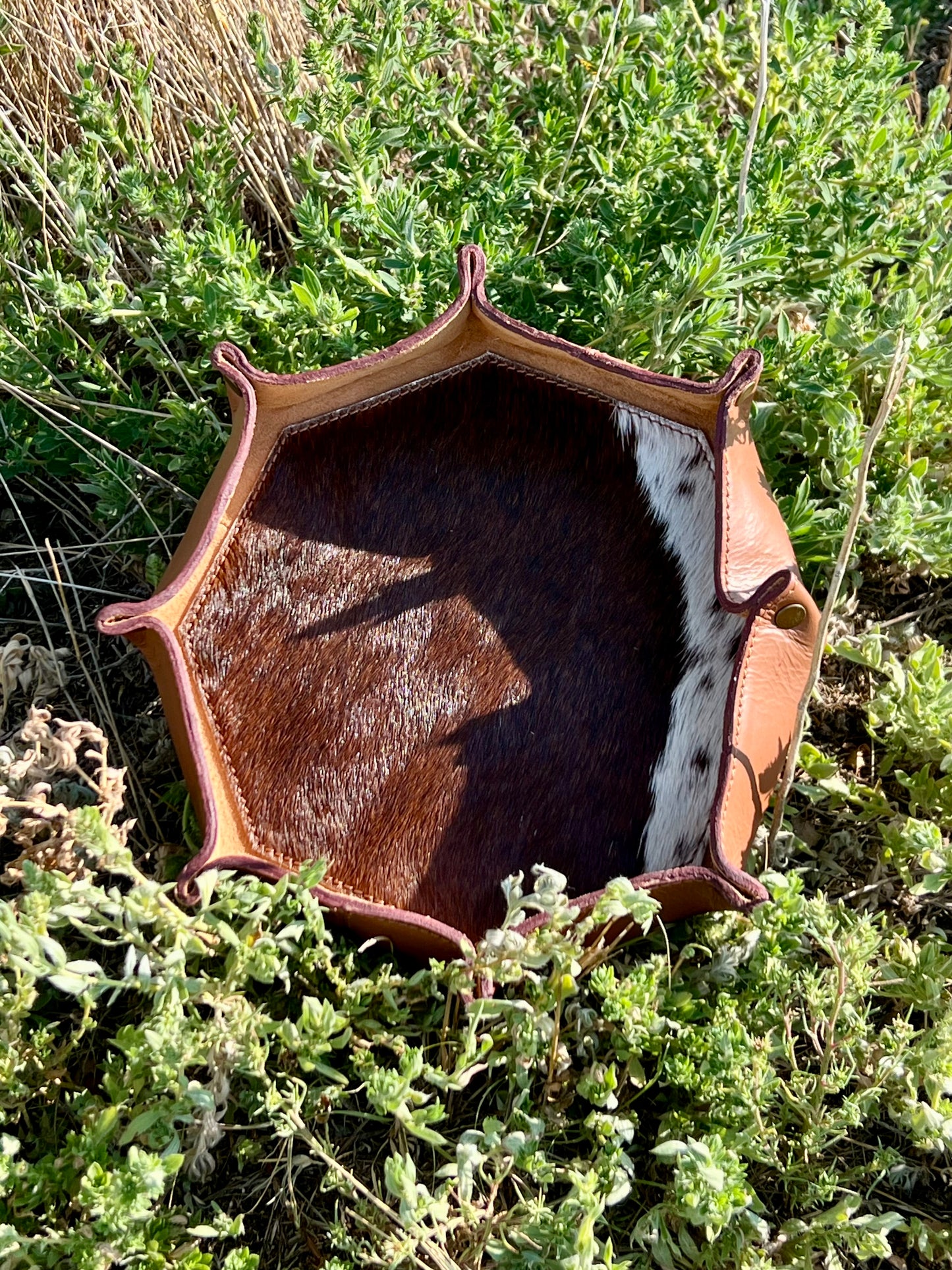 Leather Trays