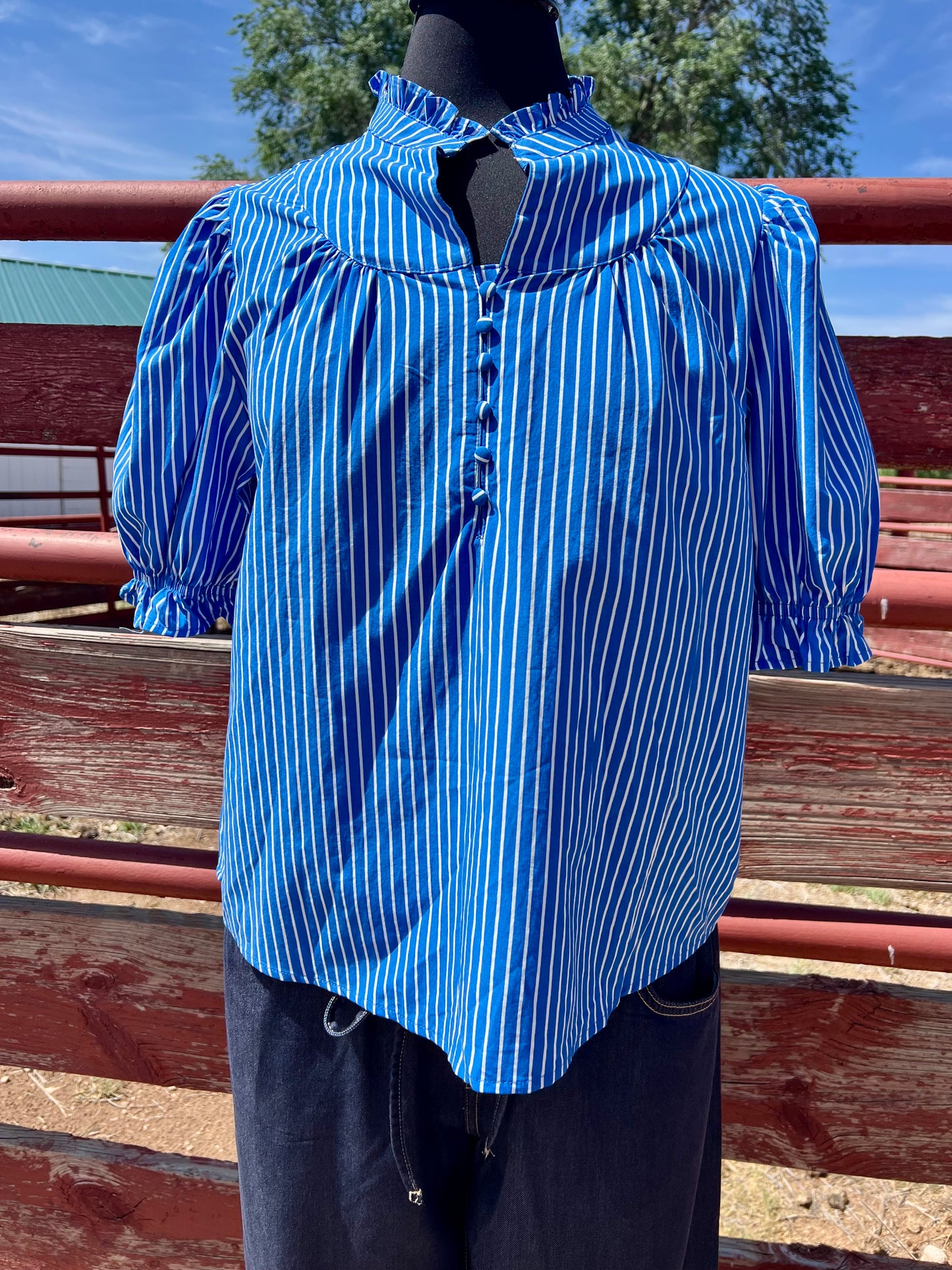 Western Blue Striped Short Sleeve Top