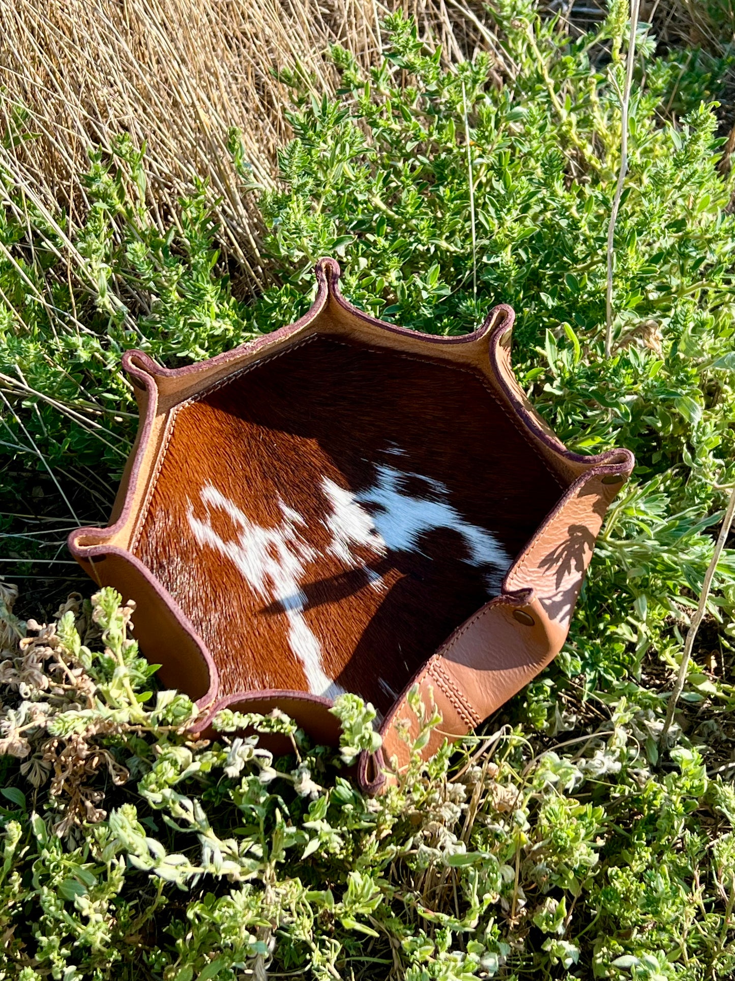 Leather Trays
