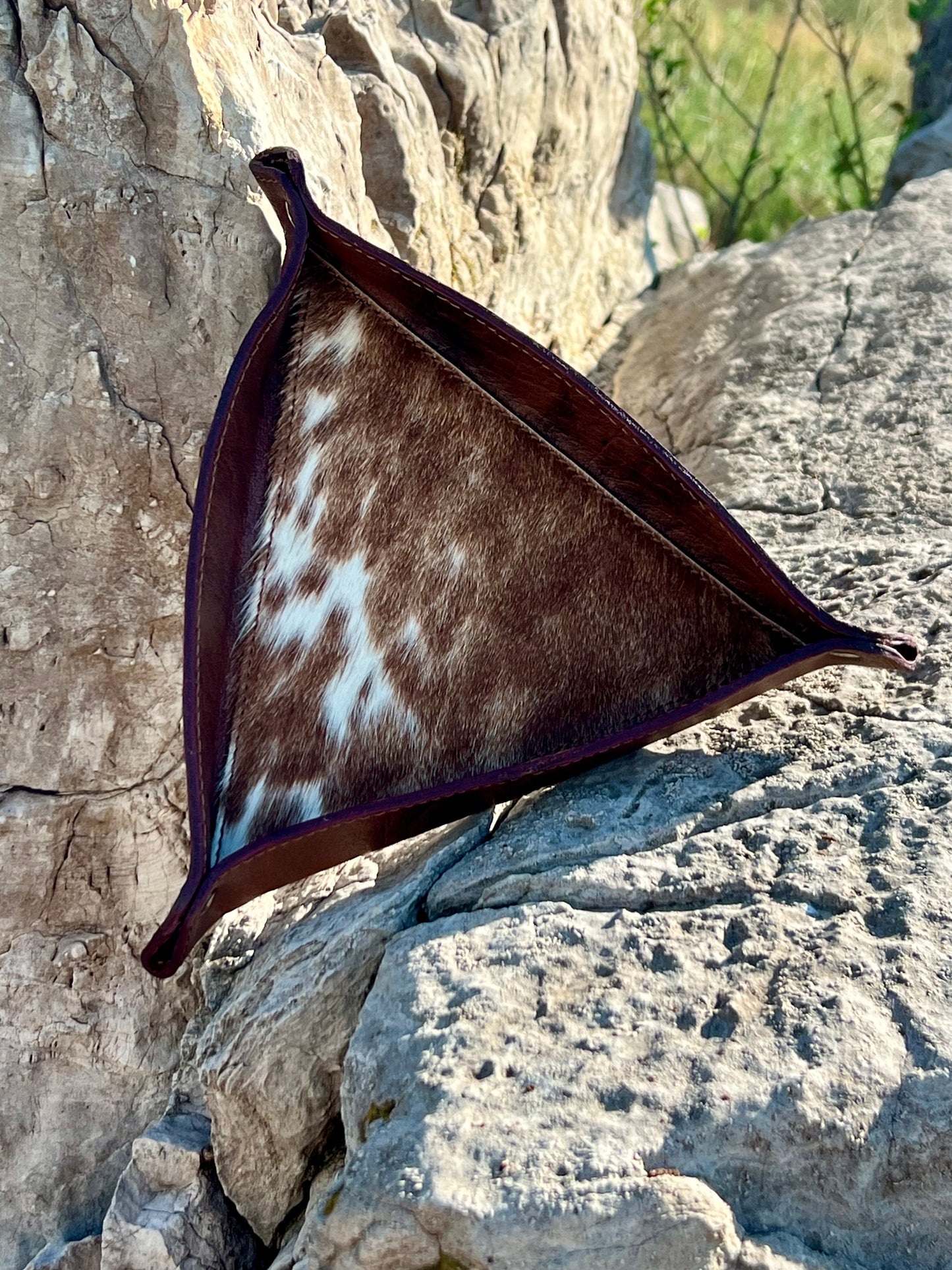 Leather Trays
