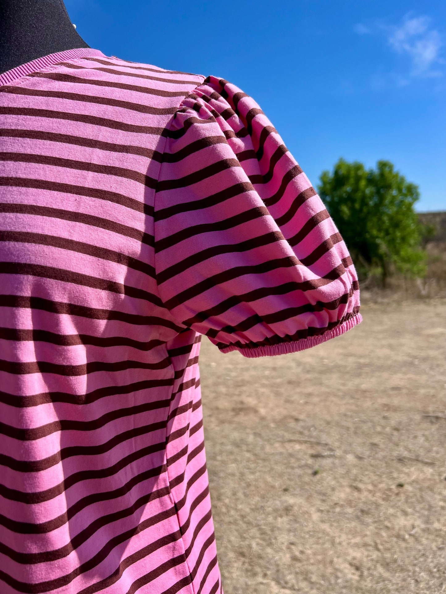 Striped Rose Top with V Neck and Elastic Sleeves