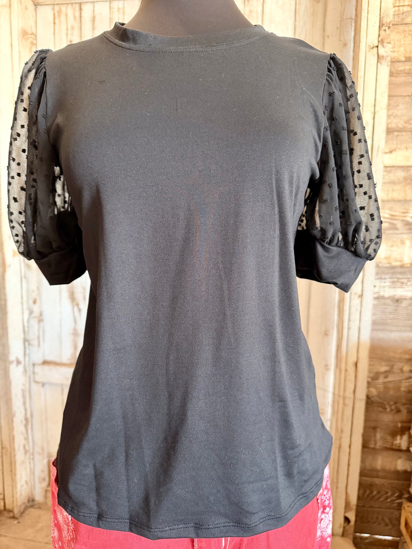 Black Top with Shear Sleeves