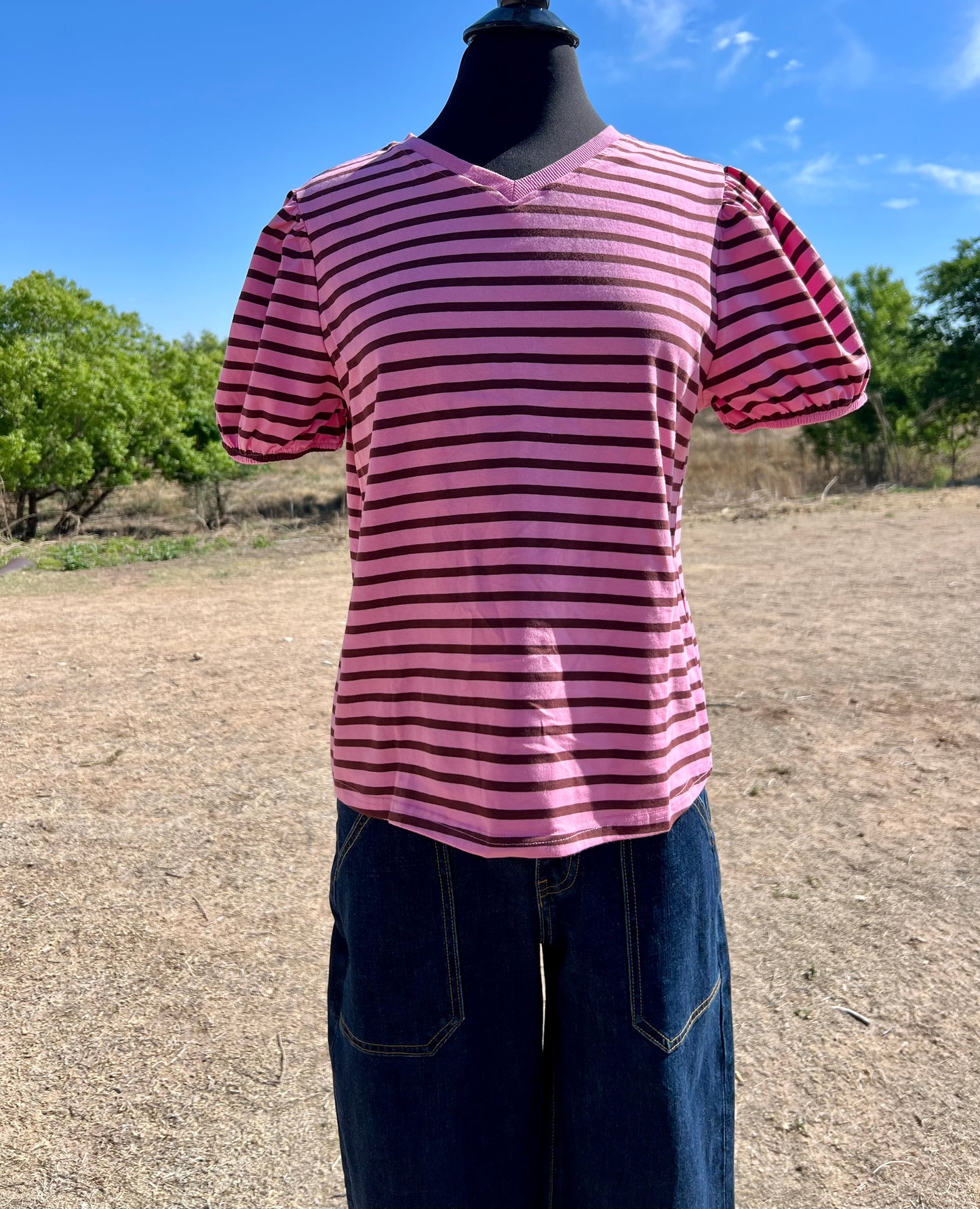 Striped Rose Top with V Neck and Elastic Sleeves