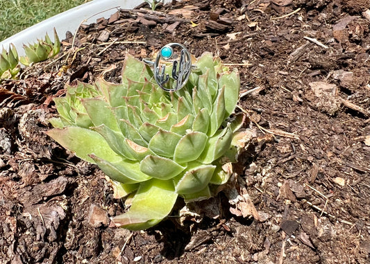 Cactus Scene with Turquoise Ring