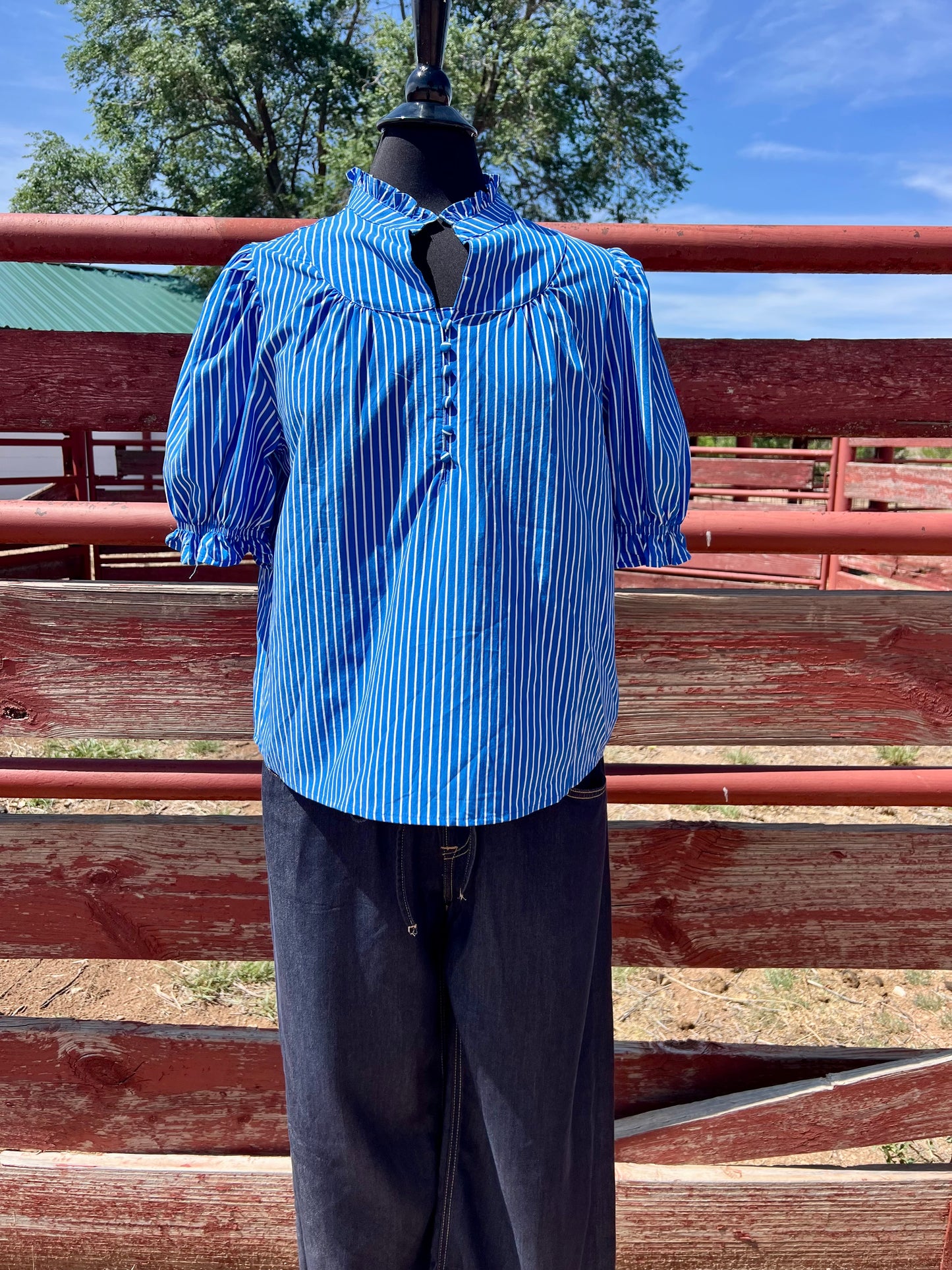 Western Blue Striped Short Sleeve Top