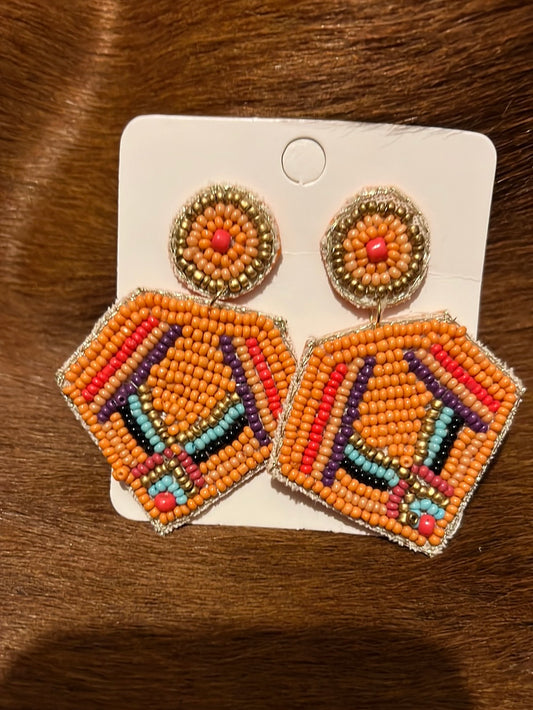 Beaded Multicolored Earrings