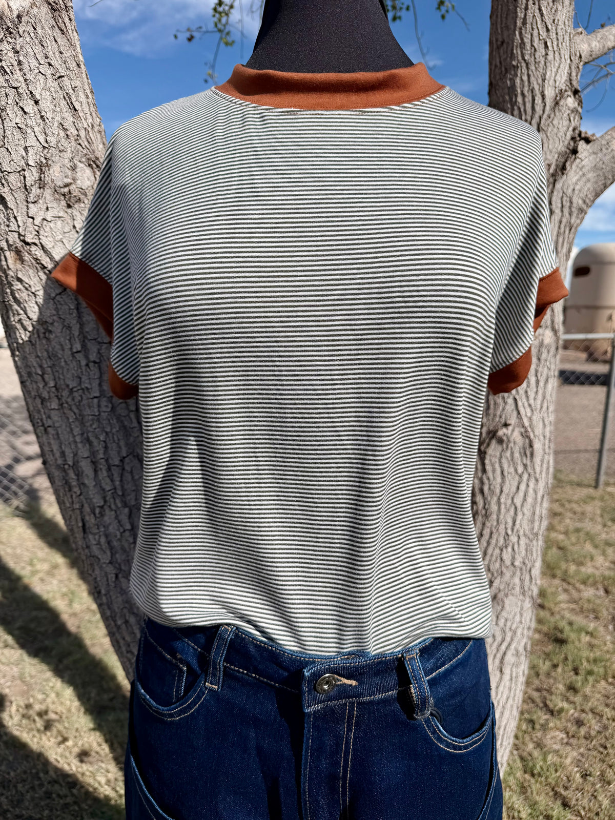 Striped Brown Top