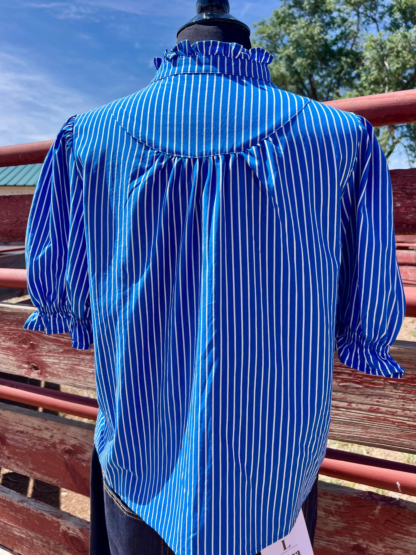 Western Blue Striped Short Sleeve Top