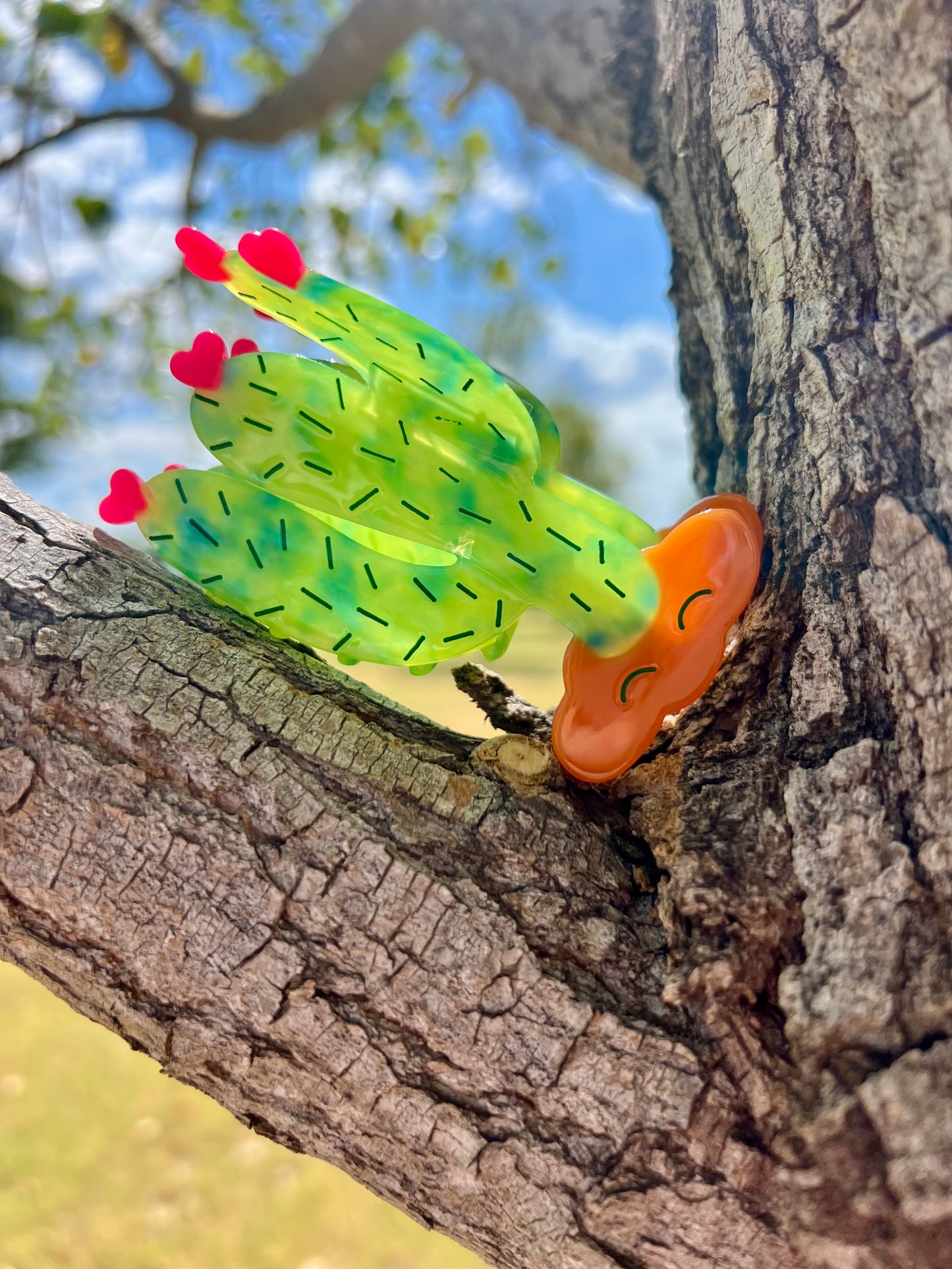 Fun Claw Clips