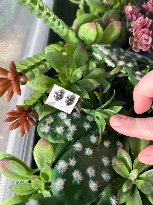 Sterling cactus studs