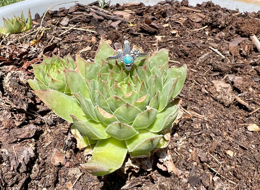 Cactus with Turquoise Ring