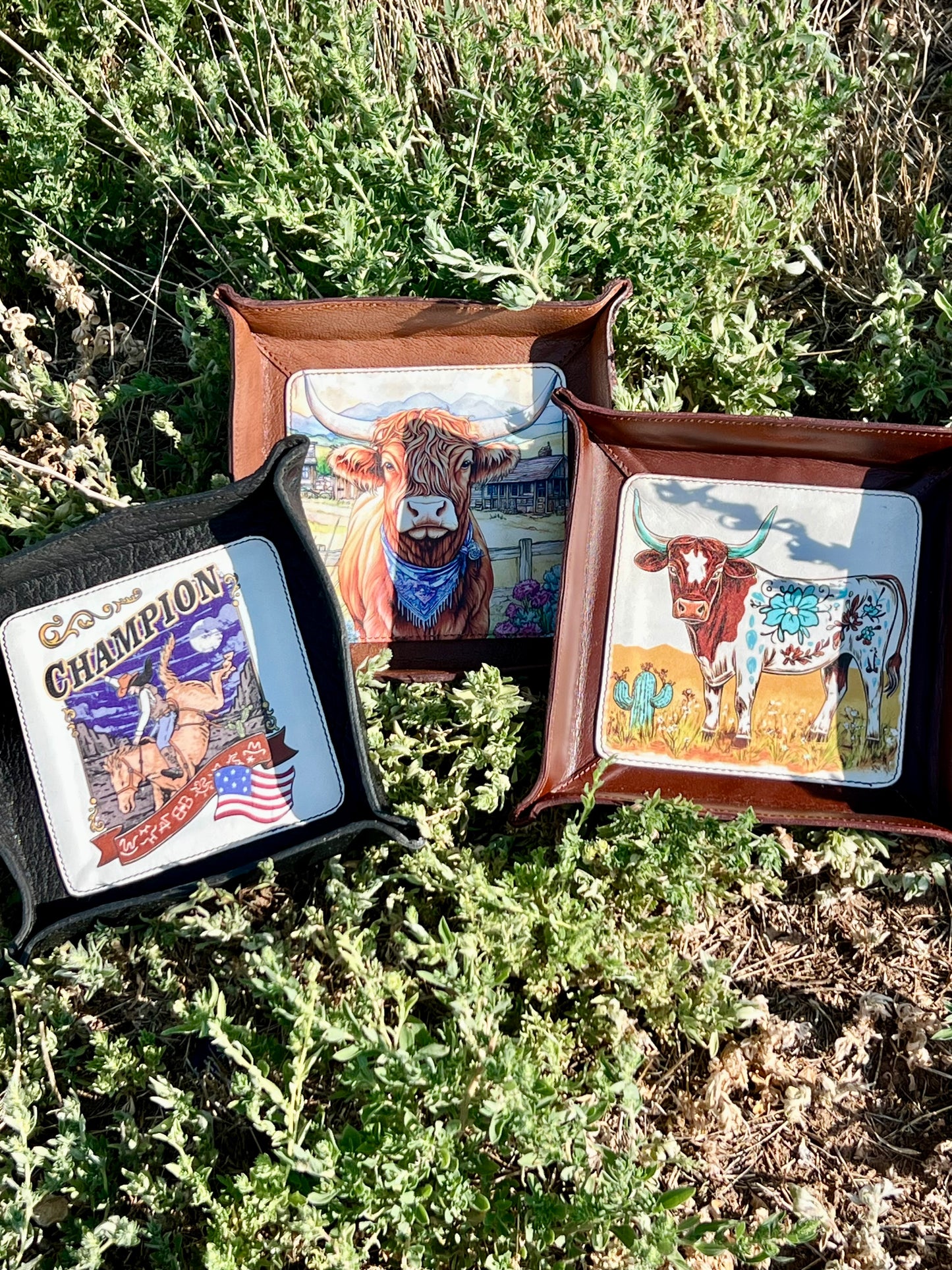 Leather Trays