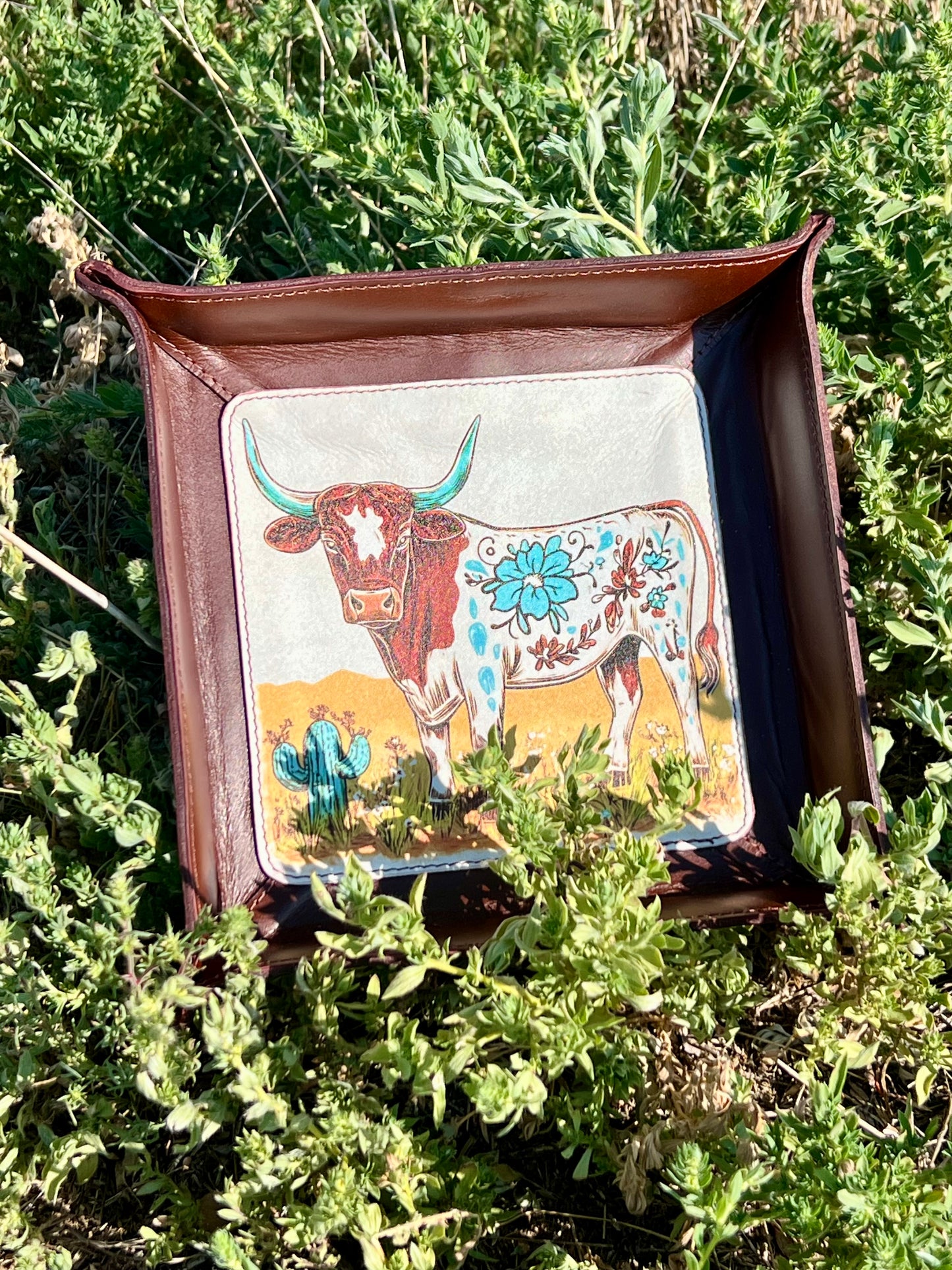 Leather Trays