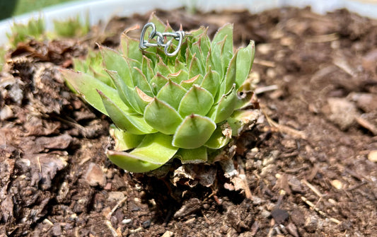 Double Heart Ring